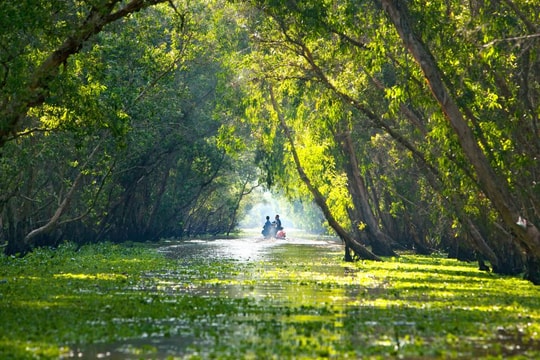 “Báu vật xanh” giữa lòng miền Tây