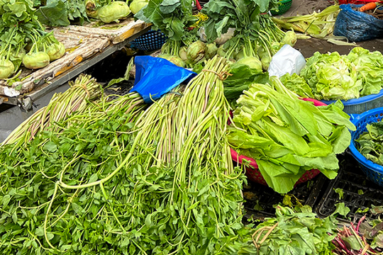 Rau xanh, hải sản hút hàng sau Tết