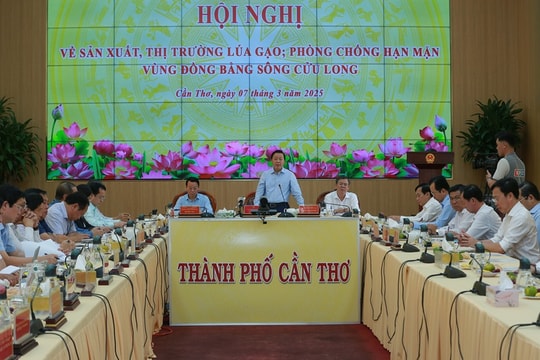 Phó thủ tướng Trần Hồng Hà: Cần đánh giá đúng thực trạng thị trường lúa gạo