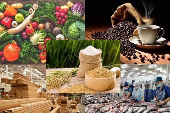 Mỹ áp thuế đối ứng 46% với Việt Nam: Nông sản Việt ứng phó ra sao?