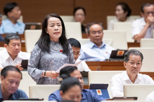 ĐBQH đề nghị giữ lại quyền chất vấn Chánh án TAND, Viện trưởng VKSND