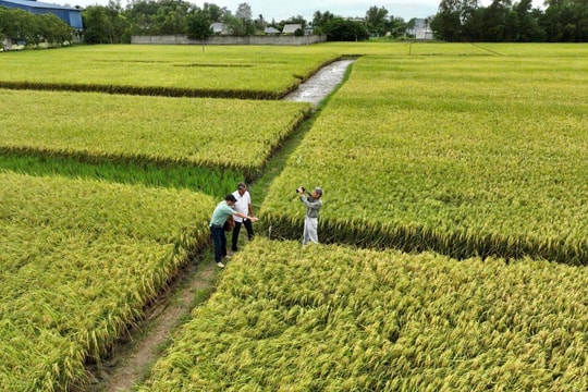 Nghị quyết 57 và việc thúc đẩy nền nông nghiệp xanh - hiện đại - bền vững