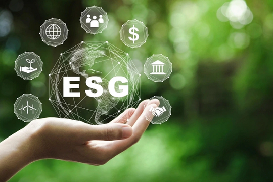 Chuyển đổi số ESG: AI chứa đầy thách thức với con người