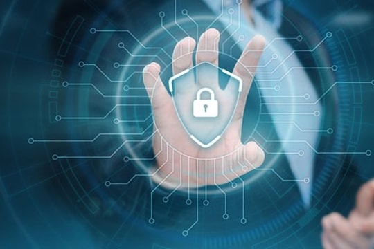 Lá chắn bảo vệ tên miền trước nguy cơ bị chiếm đoạt trái phép