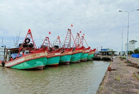 Cà Mau: Triển khai đồng bộ nhiều giải pháp chống khai thác IUU