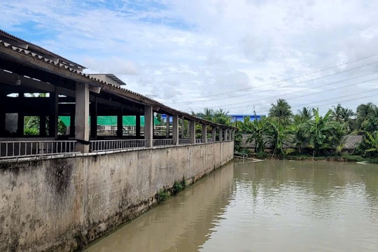 Mô hình giết mổ gia súc hướng đến lợi ích sức khỏe cộng đồng
