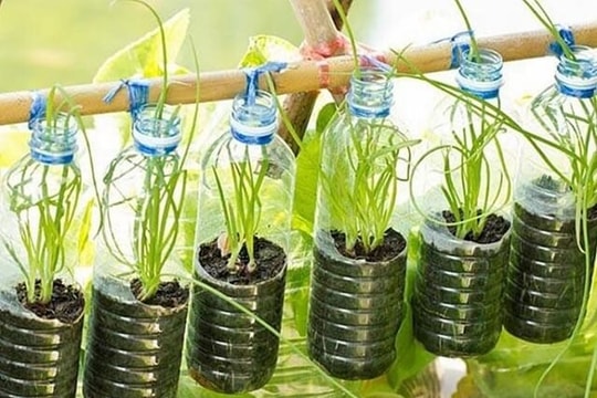 Những nỗ lực của Việt Nam trong cuộc chiến chống ô nhiễm nhựa