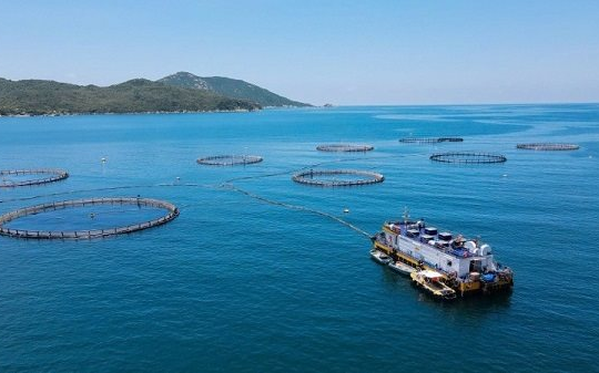 Kết nối công nghệ, khơi thông chính sách, phát triển kinh tế biển xanh