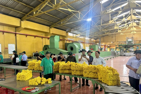 Sáng mãi truyền thống cao su Đồng Nai anh hùng
