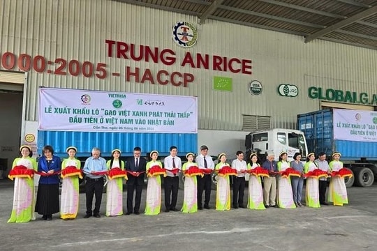 'Gạo Việt xanh phát thải thấp' lần đầu sang Nhật