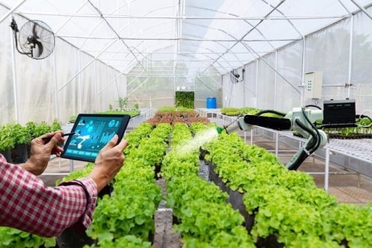 Mỹ muốn chuyển giao công nghệ và sản xuất xanh với Việt Nam
