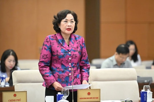 Thống đốc Nguyễn Thị Hồng: Chỉ cho vay đặc biệt lãi suất 0% trong hai trường hợp