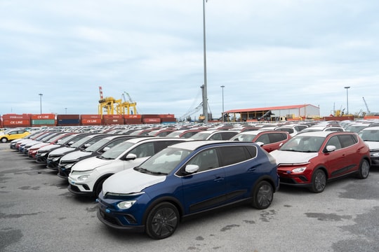 VinFast bàn giao 11.496 xe ô tô điện trong tháng 5.2025