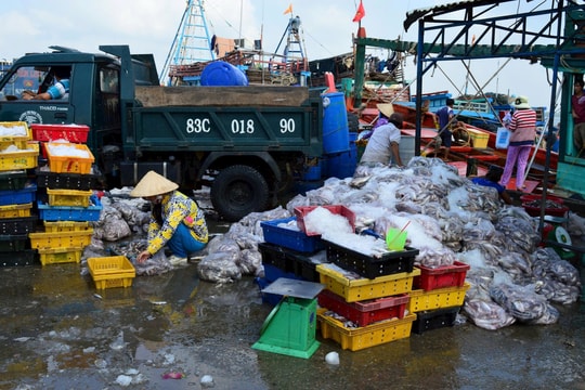 Một công nhân tử vong do trượt chân vào máy xay nước đá