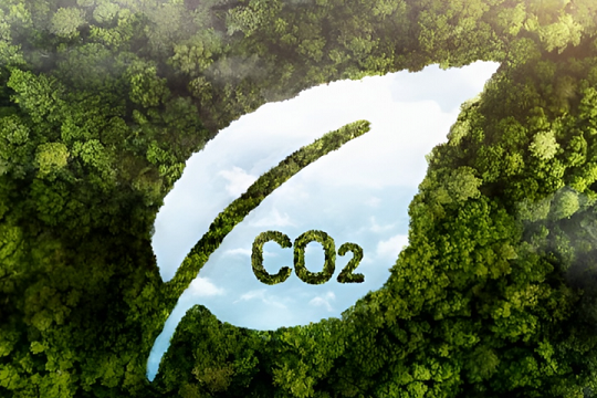 Để vận hành thị trường carbon: Việt Nam cần cơ chế mạnh