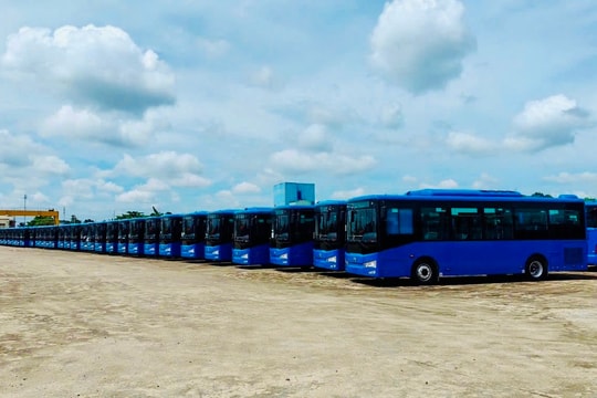 TP.HCM khai thác 37 tuyến xe buýt sử dụng năng lượng xanh vào tháng 7