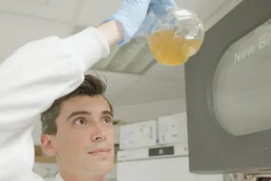 Khuẩn E.coli biến rác thải nhựa thành thuốc giảm đau