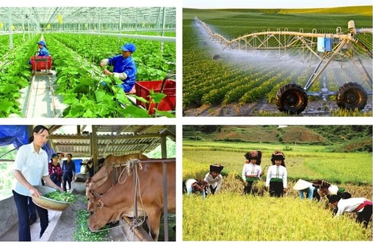 Tổng điều tra nông thôn, nông nghiệp 2025: Cơ hội xây dựng kho dữ liệu chuyên sâu về nông thôn