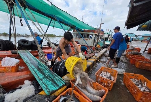 Bạc Liêu: Khai thác biển kém hiệu quả