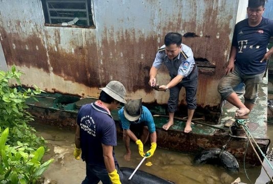 Cà Mau: Phát hiện xác cá heo bên bờ sông Cái Tàu