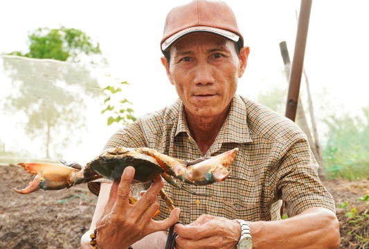 Tăng sức cạnh tranh, nâng giá trị cua Cà Mau