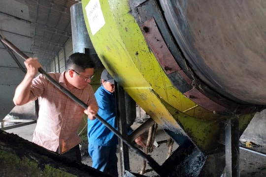 Công nghệ biến vỏ trái cây thành phân bón hữu cơ