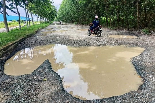 Đường vào KCN Khánh An ở Cà Mau 'kêu cứu' vì xuống cấp