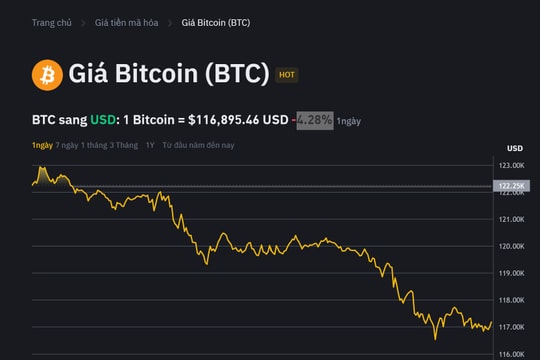 Lý do Bitcoin giảm sâu xuống dưới 117.000 USD sau khi tăng kỷ lục vượt 123.000 USD