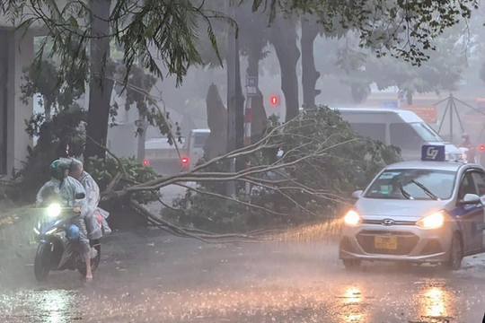 Bộ Y tế: Nguy cơ bệnh thương hàn bùng phát trong và sau bão số 3