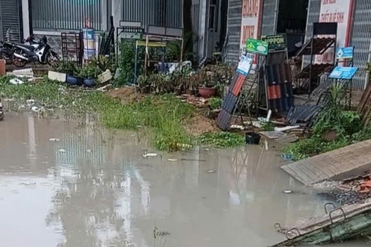 Nhiều hộ dân khốn khổ do thi công đường dẫn cầu Rạch Miễu 2 gây ngập úng, ô nhiễm