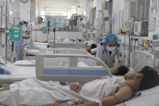 TP.HCM: Bệnh nhân sốt xuất huyết tăng hơn 150%, 10 trường hợp tử vong