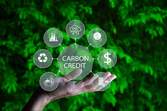 Việt Nam xây dựng thị trường tín chỉ carbon, hướng tới Net Zero 2050