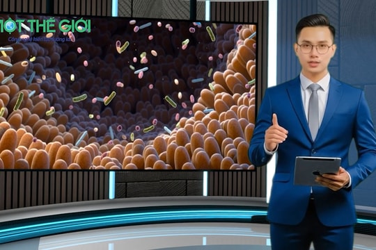 Bản tin video 26.7: AI mở ra hy vọng mới trong điều trị ung thư da ác tính