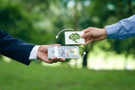 Singapore - Thái Lan hợp tác về tín chỉ carbon, Việt Nam có thể học hỏi nhiều điều