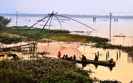 Nông dân Tây Nam Bộ "bội thu" nhờ sản vật mùa nước nổi
