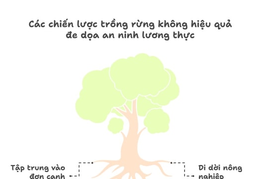 Tín chỉ carbon hôm nay (4.8): Trồng cây gì, ở đâu để đạt Net Zero, đảm bảo an ninh lương thực