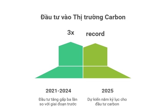 Tín chỉ carbon hôm nay (5.8): Ba lý do khiến thị trường tín chỉ carbon nóng lại