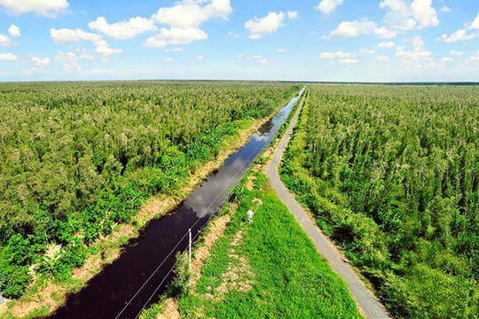 Việt Nam cần làm gì để tận dụng hết tiềm năng của thị trường carbon