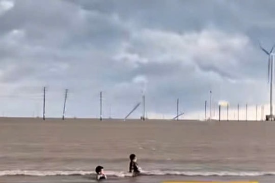 Nhiều cột điện gió trên biển Vĩnh Long bị đổ