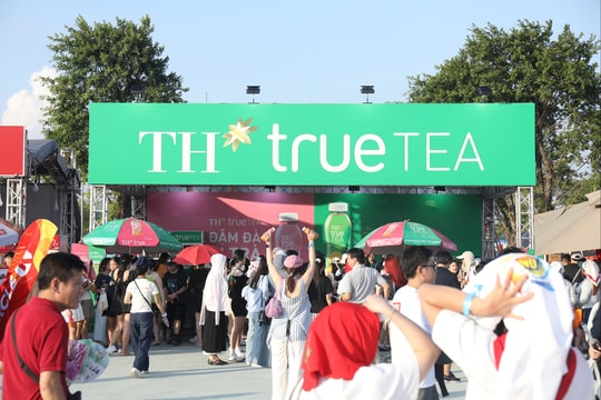 TH true TEA cùng 50.000 khán giả hòa mình vào đại nhạc hội quốc gia V Concert & V Fest