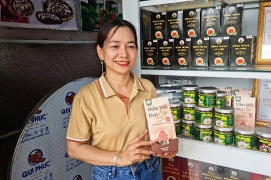 Ứng dụng công nghệ cao trồng nấm, năng suất và thu nhập tăng vọt