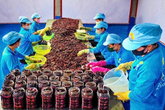 Ba khía muối – món ăn đậm vị ở vùng đất phù sa