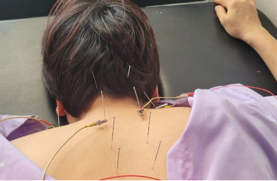 Bảo tồn và phát triển văn hóa truyền thống trong nền y học dân tộc