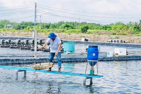 Ứng dụng công nghệ RAS-IMTA vào nuôi tôm giúp giảm phát thải, bảo vệ môi trường