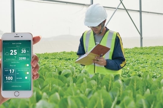 Nhà kính thông minh điều khiển qua điện thoại thúc đẩy nông nghiệp số