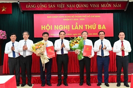 PGS công nghệ thông tin Dương Anh Đức làm Trưởng ban Tuyên giáo và Dân vận Thành ủy TP.HCM