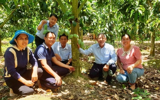 Nông dân An Giang thu nhập gần 800 triệu đồng/năm trồng xoài ứng dụng công nghệ cao
