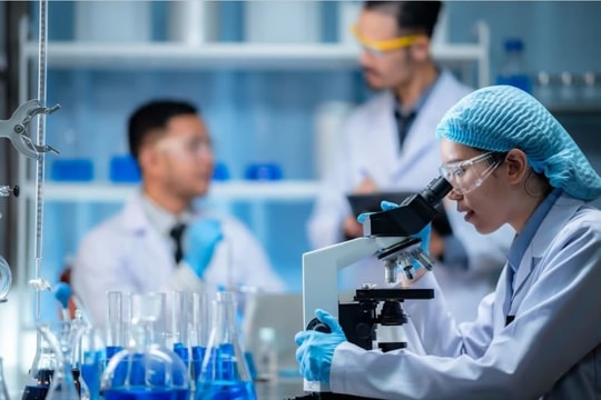 Chính phủ ban hành tiêu chí, lương thưởng đối với chức danh lần đầu tiên có tại Việt Nam