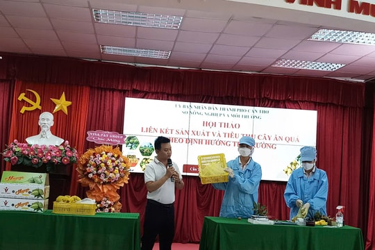 Muốn trái cây đi xa, phải mạnh mẽ áp dụng khoa học công nghệ