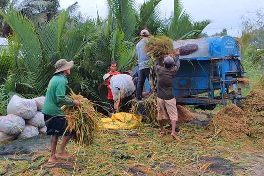 60 năm cải tiến máy tuốt lúa ở ĐBSCL, góp phần đưa Việt Nam thành nước xuất khẩu gạo thứ 2 thế giới